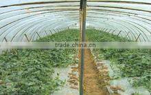 PE plastic film for mulch/greenhouse/construction