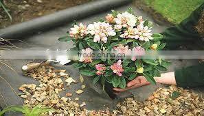 Anti-UV PP nonwoven fabric for landscape cover weed mats