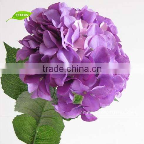 GNW FLH10 Preserved Hydrangea Artificial Dried Flowers Decoration Wedding Events Suppliers