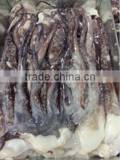 Frozen Raw Giant Squid Tentacle