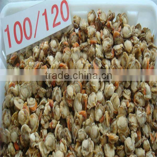 Chinese frozen wholesale bay scallop maufacturers