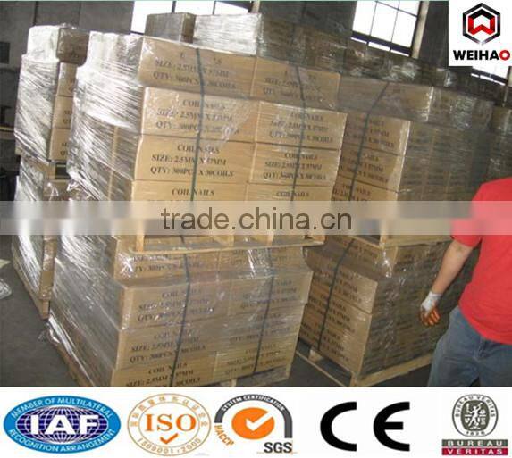 galvanized wire coil nails iron nail steel nail roofing nail