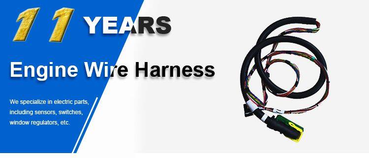 Truck Engine Custom Electric Wire Harness Assembly 504272883 For IVECO