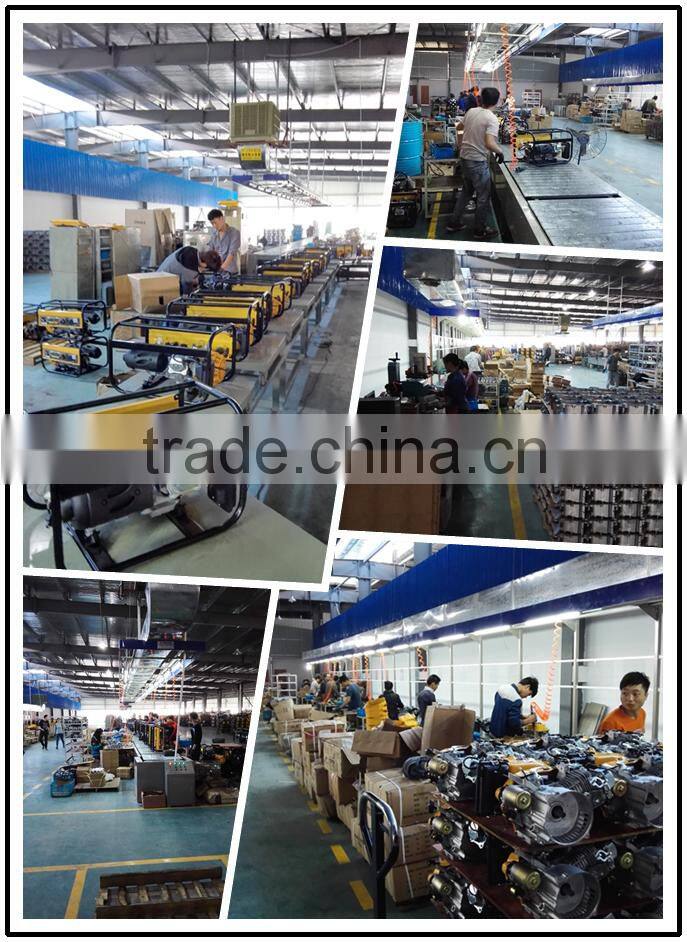 CE 3Phase Professional Generator Swiss Kraft Gasoline Generator Set 8500W Generator 2KW For Europe Market