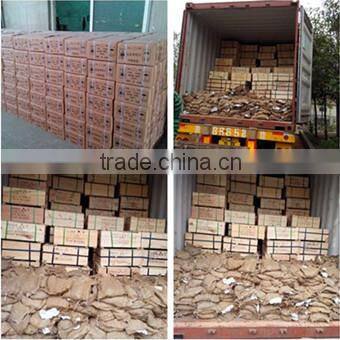 Fastener manufacturer corrugated sheet iron roofing nail