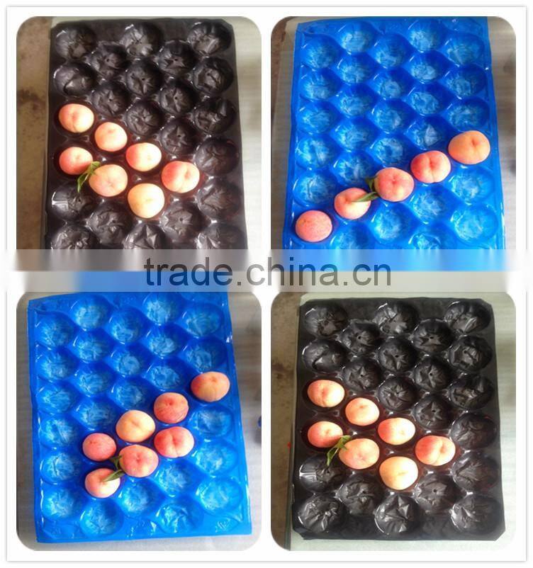 PP/PS/PET plastic tray /packaging tray /fruit tray