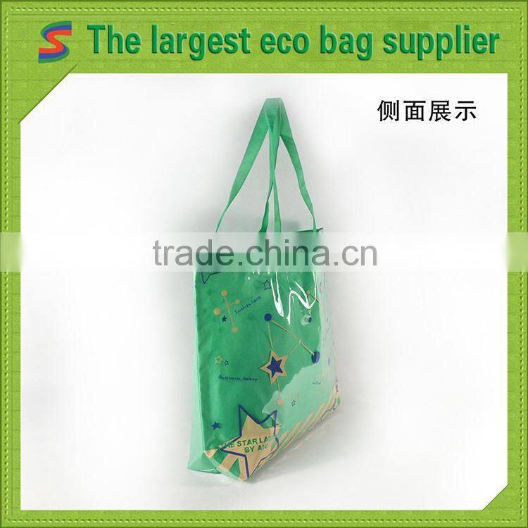 LB95 Pp Non Woven Matt Laminated Bag
