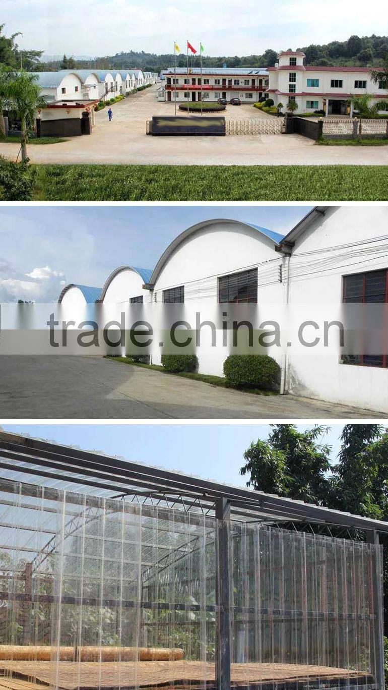 Good Price of Bi Luo Chun Green Tea