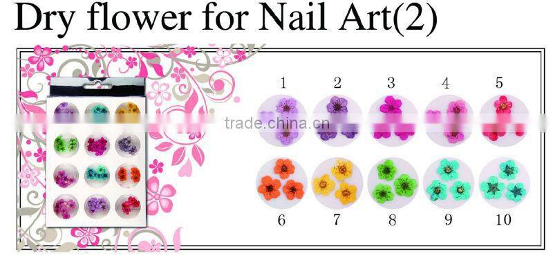 professional glitter powder nail art decoration