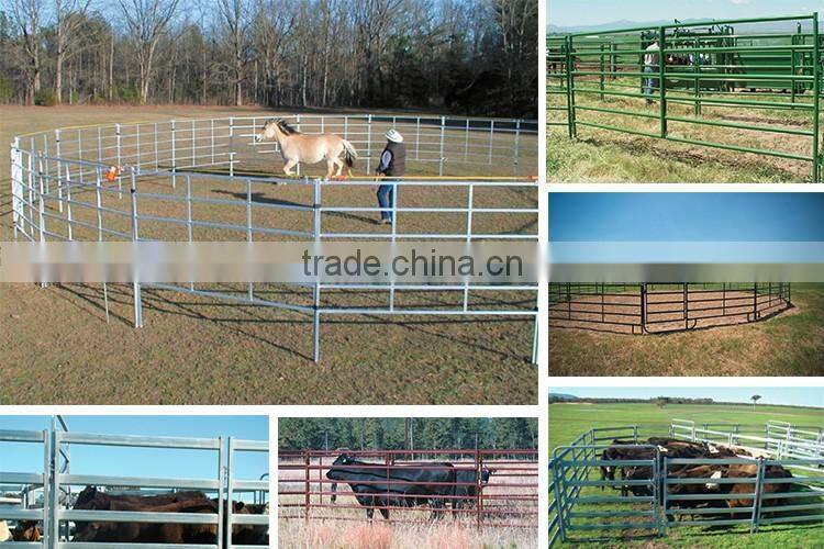 pvc coated cattle fence/oval rail cattle panels