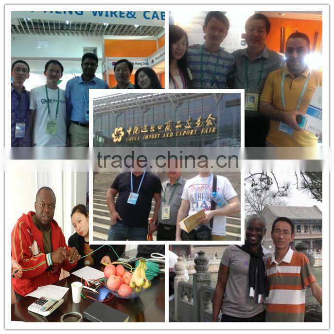 Aluminum conductor electrical wire BLV