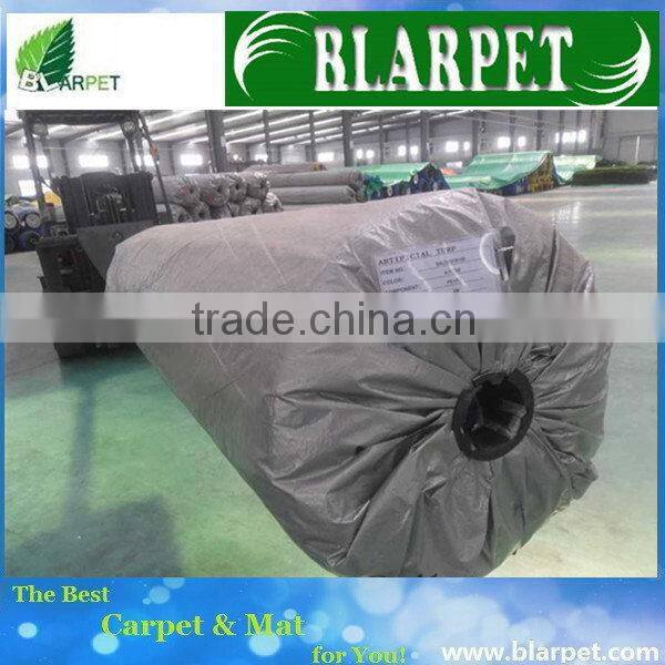 Updated exported backyard landscaping grass