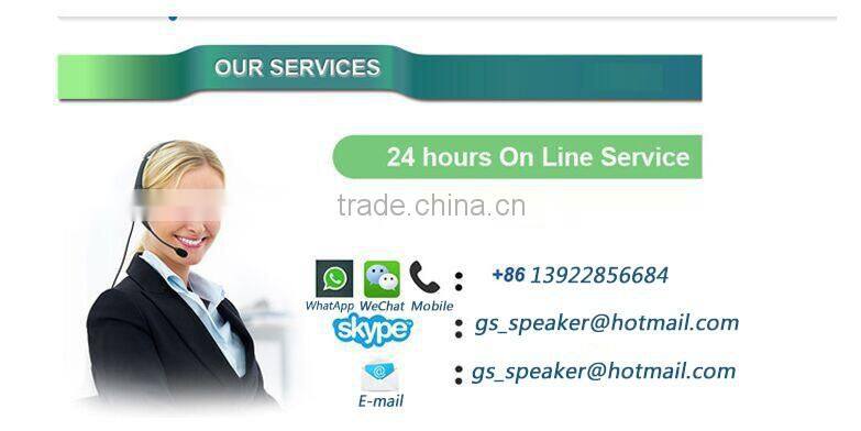 High quality professional microphone