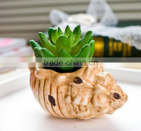 Hot-selling Artificial Conch Potted Mini Succulent Plants