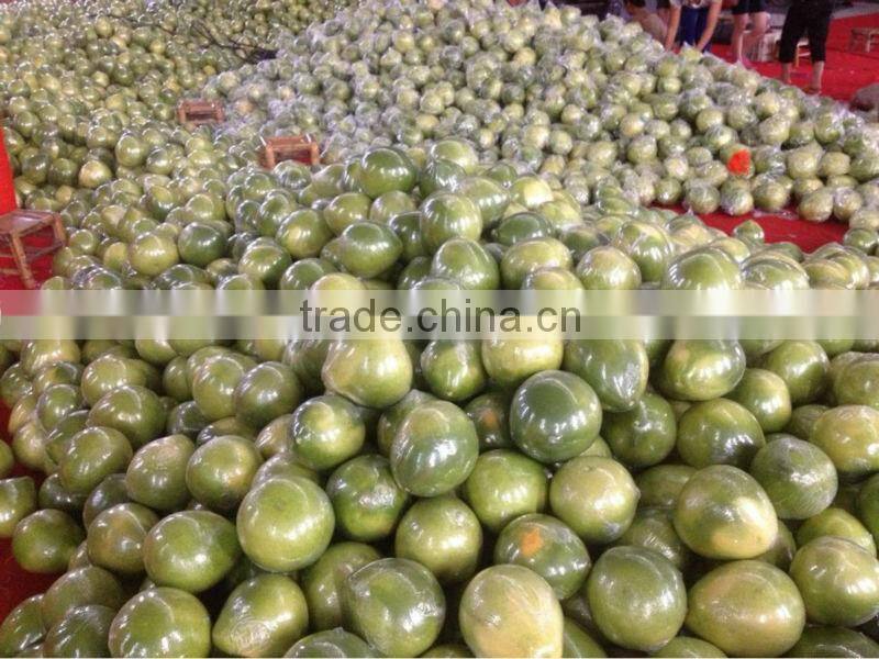 citrus fruit vietnam grapefruit pomelo price