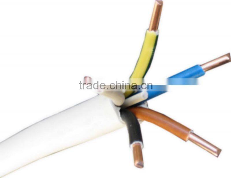 BV/BLV electric Cable with Copper/Aluminum PVC Insulated copper wire