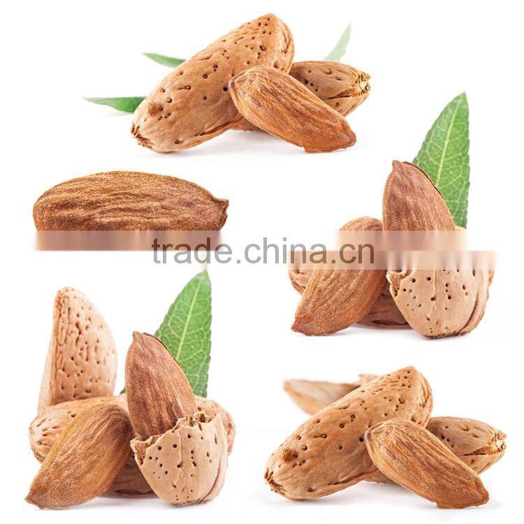 good products wholesale almond