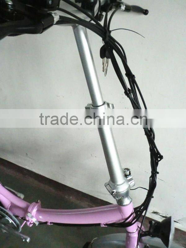 lithium battery folding electric bike