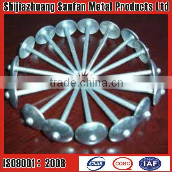 Roofing nail common nail concrete nail