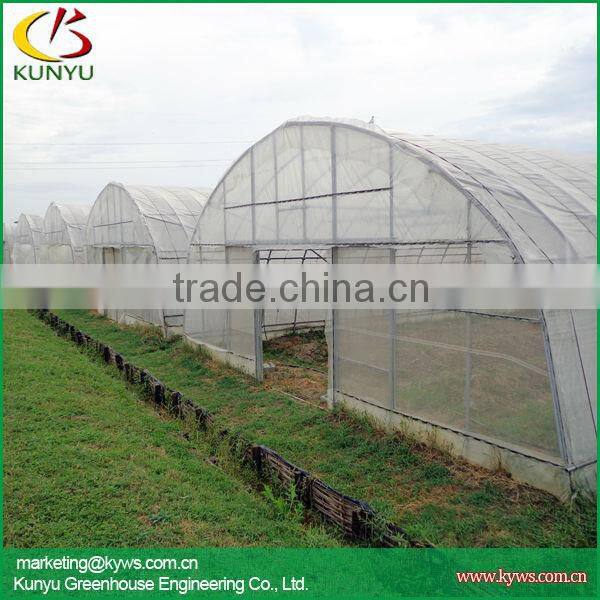 low cost high tunnel greenhouse for tomato growing