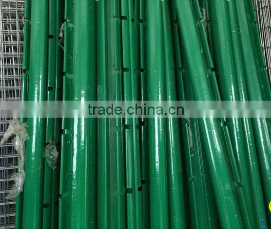 China supplier Hot-dipped galvanized / pvc coated / powder coated welded wire mesh fence