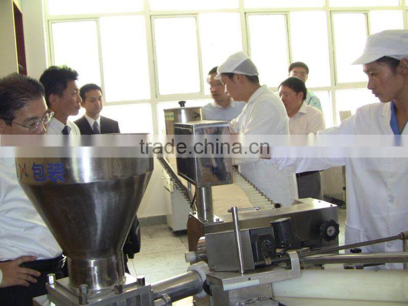 LHSM-11 New Steamed Stuffed Bun making machine