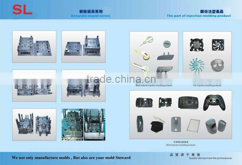 custom high quality plastic mold/mould
