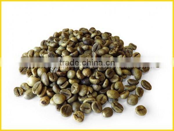 NEW CROP 2016 VIETNAM WHOLE SALE CLEAN ROBUSTA COFFEE BEAN