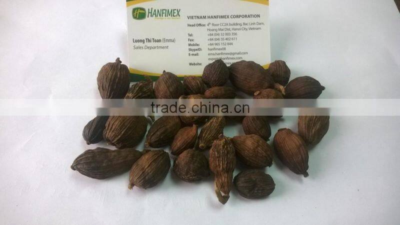 Vietnam Dried Style BLACK CARDAMOM Exporter (Skype: hanfimex08)