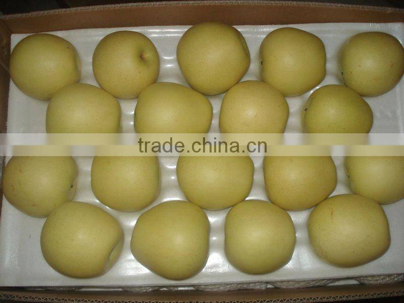 2011 fresh feng shui pear