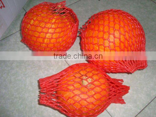 fresh red pumpkin (new)