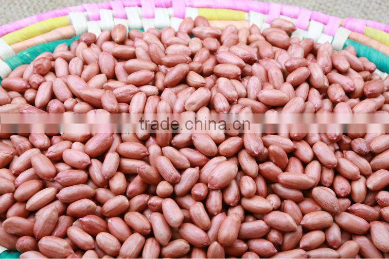 Roasted Peanut with Red Skin