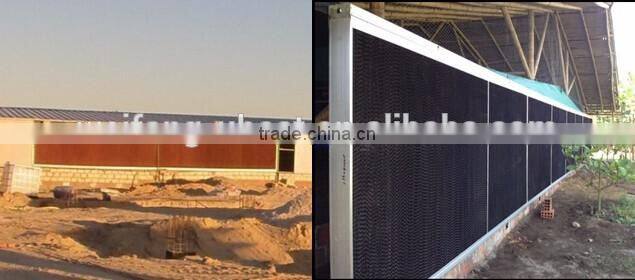 Steel Frame Type and Steel Material metal poultry shed/galvanized chicken equipments shed /chicken house shed