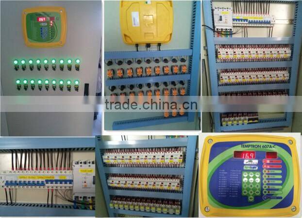 Automatic poultry equipment design for broiler chicken