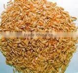 chinese high efficiency charcoal stick extruder machine