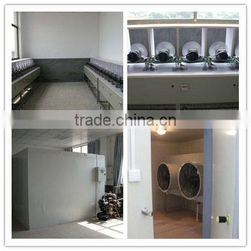 20kw chicken poultry farm gas heater