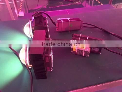 1w 50w 100w 200w horticultural led full spectrum for indoor grow