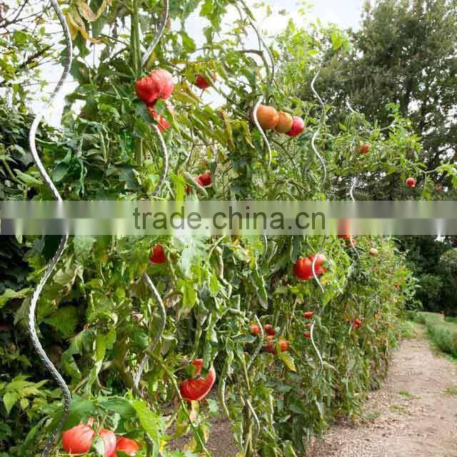 galvanized Tomato Spiral Plant Support, 59" High