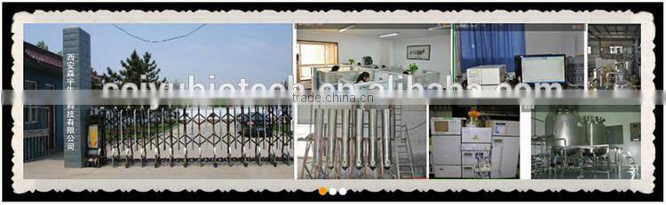 Traditional Chinese Herb 4:1 5:1 10:1 rehmannia glutinosa extract powder