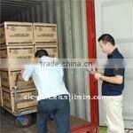 Container loading supervision