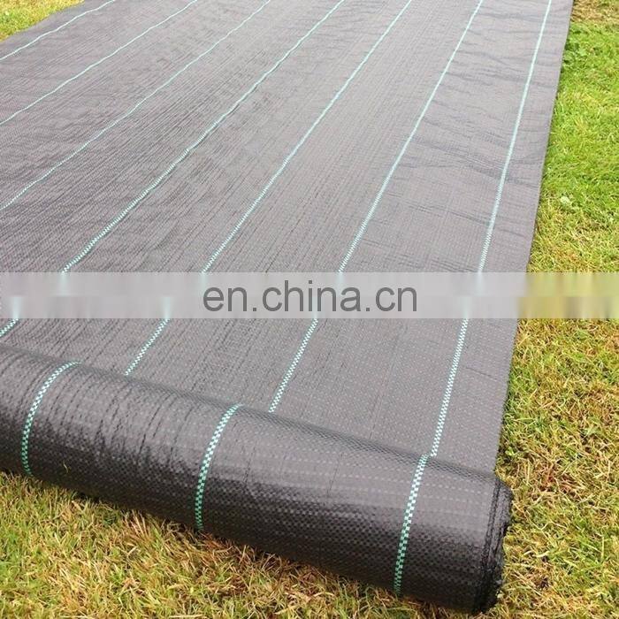 Agricultural PP Weed Barrier for Landscaping Fabric