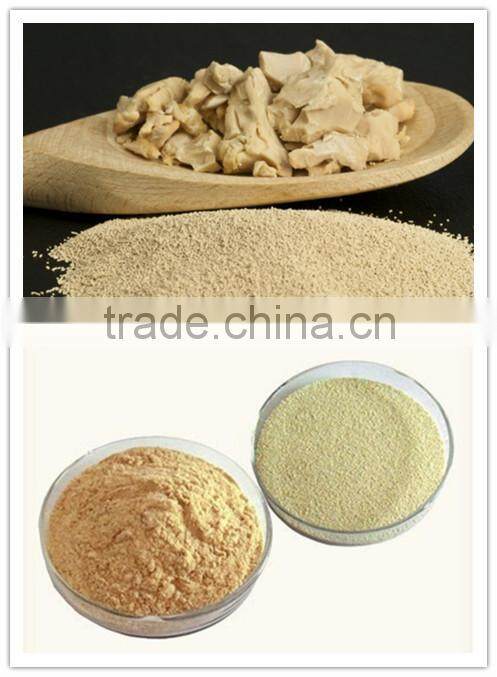 Instant Dry Yeast (Bakery Using), China origin, best quality