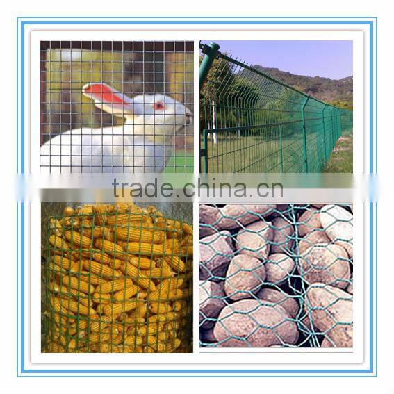 PVC Coated or Galvanized Welded Wire Mesh