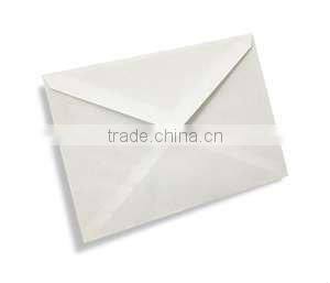 Customzied Envelope Bag