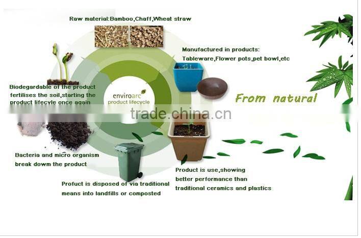 Fancy China supplier beautiful china tea cup