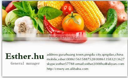 FULL OF SPECKLED KIDNEY BEANS FROM CHINA