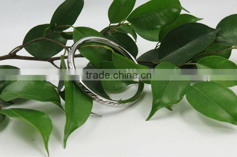 2013 New Bangle Jewelry,Stainless Steel Wonderful Jewelry