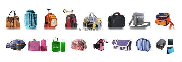 Fashion Carton CD Bag