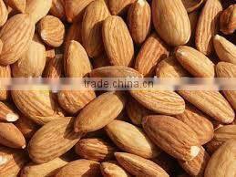 roasted apricot kernels raw flavor with good quality for sale