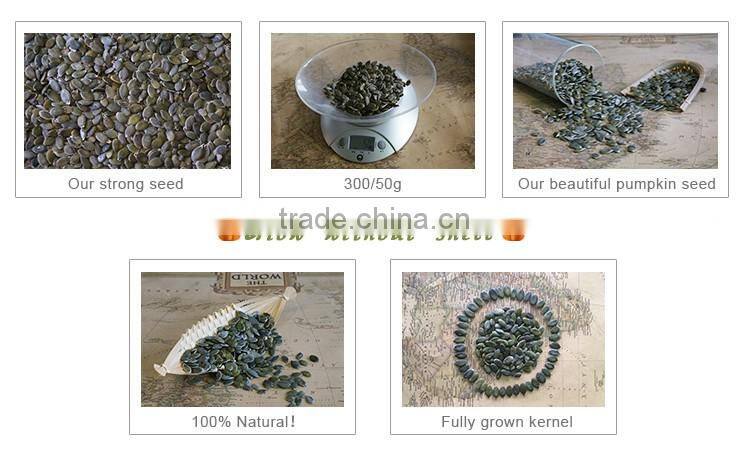 2016 new crop Pumpkin seed grow without shell GWS low price